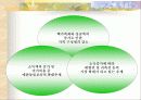 애견 마케팅 사업보고서 8페이지