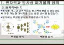 방사성 폐기물이 자연에 미치는 영향 3페이지