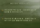 영화 ‘신데렐라 맨’을 통한 심리 분석 7페이지