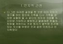 영화 ‘신데렐라 맨’을 통한 심리 분석 28페이지