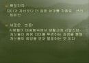영화 ‘신데렐라 맨’을 통한 심리 분석 42페이지