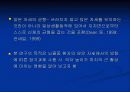 뇌졸중 환자의 앉은 자세에서 잡기과제 수행 시 의자 높이가 하지에 미치는 영향 3페이지