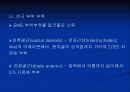 뇌졸중 환자의 앉은 자세에서 잡기과제 수행 시 의자 높이가 하지에 미치는 영향 11페이지