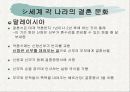 세계의 결혼 문화와 한국 16페이지