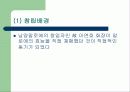 남양 알로에의 성공이유와  결과 및 문제점 8페이지