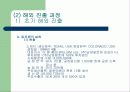 남양 알로에의 성공이유와  결과 및 문제점 23페이지