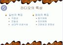 뉴미디어시대에서의 라디오와 음반 4페이지
