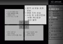 렉서스 마케팅 성공전략 10페이지