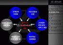 렉서스 마케팅 성공전략 11페이지