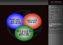 렉서스 마케팅 성공전략 24페이지