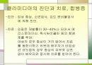 성병에 관한 정리와 이해 18페이지