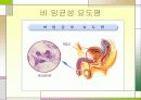 성병에 관한 정리와 이해 19페이지