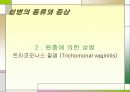 성병에 관한 정리와 이해 23페이지