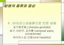 성병에 관한 정리와 이해 31페이지