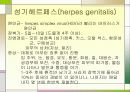 성병에 관한 정리와 이해 32페이지