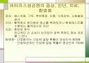 성병에 관한 정리와 이해 38페이지
