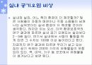 실내 공기 오염의 원인과 대책 3페이지