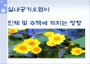 실내 공기 오염의 원인과 대책 14페이지