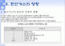 실내 공기 오염의 원인과 대책 19페이지