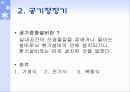 실내 공기 오염의 원인과 대책 31페이지