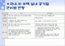 실내 공기 오염의 원인과 대책 39페이지