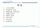 삼성애니콜 마케팅 성공전략 2페이지