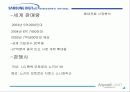 삼성애니콜 마케팅 성공전략 13페이지