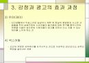감정과 광고 9페이지
