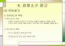 감정과 광고 19페이지