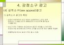 감정과 광고 23페이지