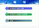 대민행정의 문제점과 개선방향 2페이지
