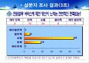 대민행정의 문제점과 개선방향 5페이지