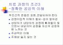 인간중심치료 20페이지