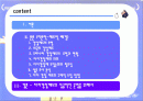 자치 경찰제 도입분석 2페이지