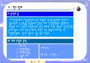 자치 경찰제 도입분석 4페이지