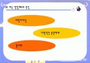 자치 경찰제 도입분석 12페이지