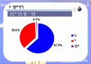 자치 경찰제 도입분석 26페이지