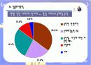 자치 경찰제 도입분석 31페이지