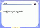 자치 경찰제 도입분석 46페이지