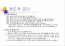 황혼이혼 19페이지