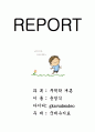 우리나라 국제수지의 변화와 의미 1페이지