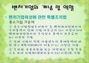 중소기업과 벤처기업의 현황과 당면과제(ppt) 29페이지