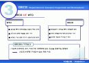 국제경제기구 19페이지