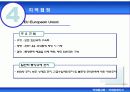 국제경제기구 29페이지