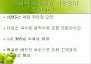 성주 과일 직판장 3페이지