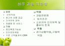 성주 과일 직판장 6페이지