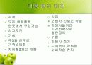성주 과일 직판장 7페이지