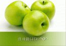 성주 과일 직판장 13페이지