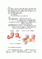 stomach ca. case 6페이지