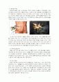 rectal ca. case study 10페이지